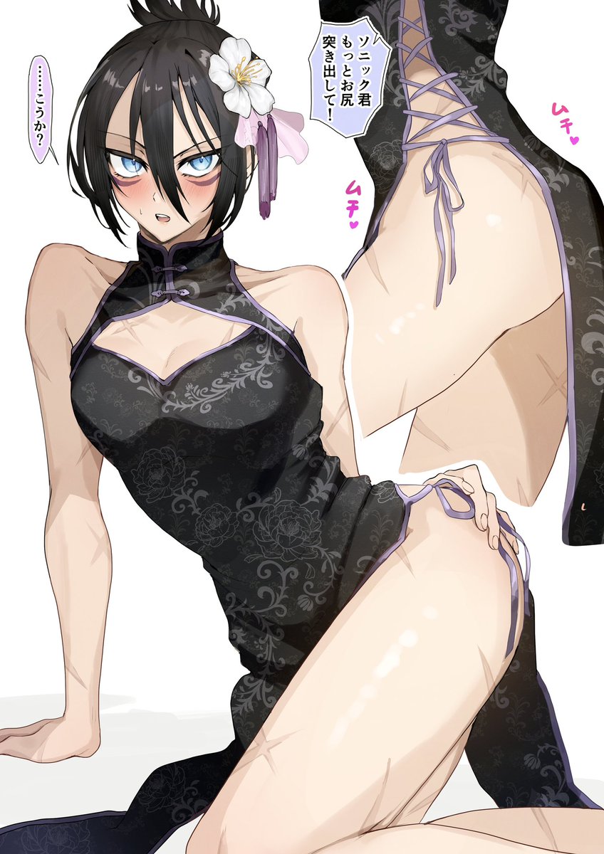 契約主の趣味に付き合わされるソニック集 