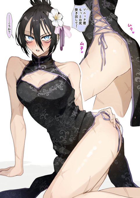 契約主の趣味に付き合わされるソニック集 