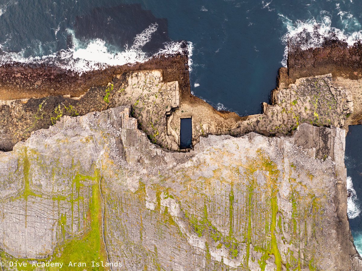 DiveAran tweet media