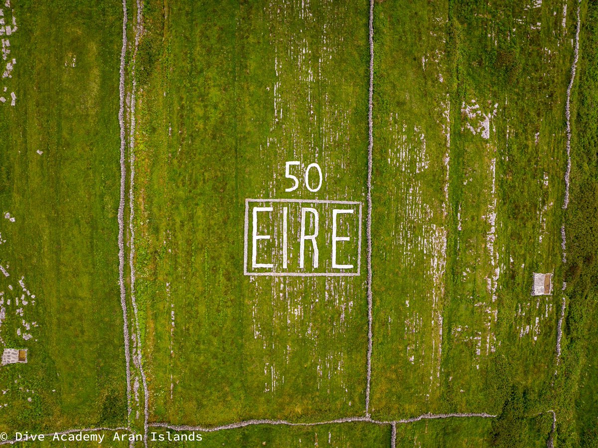 DiveAran tweet media