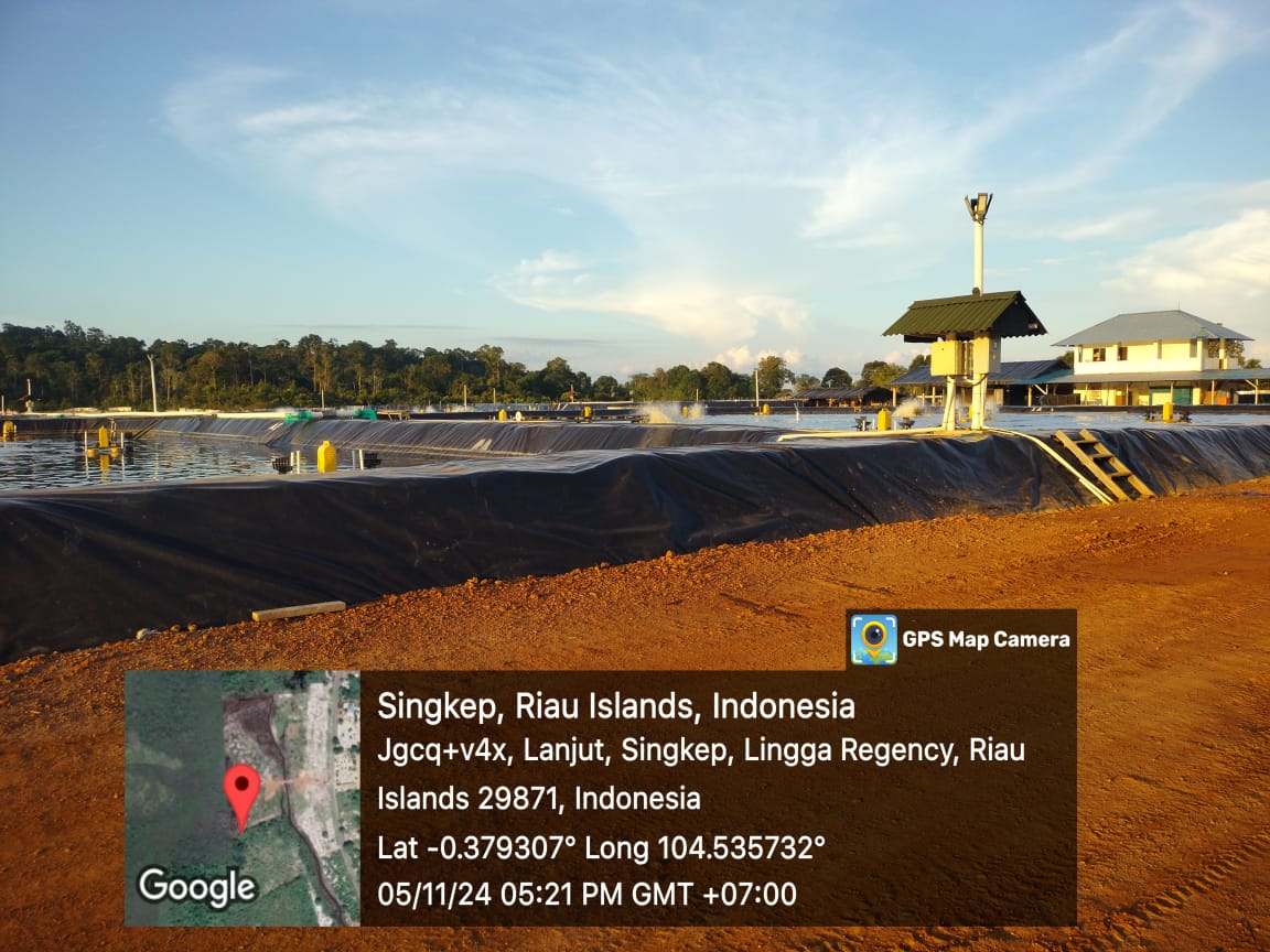 MegaTania17's tweet photo. Selasa (05/11) Mega Tania, Luhkan Kab Lingga, di PT Singkep Putra Perkasa Ds Lanjut, Pembinaan ara Budidaya Ikan yang Baik bersama Tim Budidaya DKP Kepri 
#GiatLuhkanSatminkalMedan #Lingga #Vannamei
@bppsdm_kp
@kkpgoid
@pusluhkp
@bppsdm_bp3medan
@BASRIBOSBAS https://t.co/CfXsfyP2jp