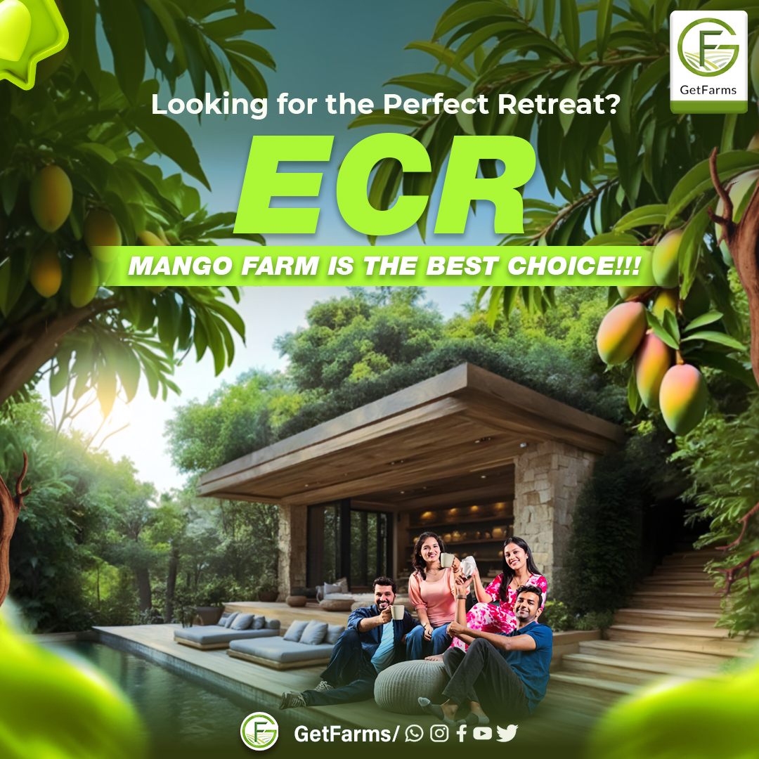 GetFarms's tweet image. ECR Mango Farm: Your ideal getaway to relax, recharge, and reconnect.

#getfarms #mangofarm #farmland #mangofarmland #ECR #launch #prelaunchoffer #ecr #ecrfarm #ecrfarmhouse #nature #naturelover #organicfarm #fruitfarm #MangoTrees