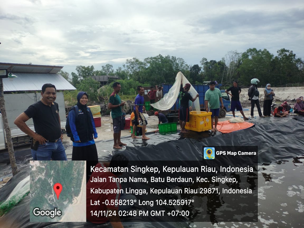 MegaTania17's tweet photo. Kamis (14/11) Mega Tania, Luhkan Kab Lingga, di Pokdakan Tambak Todak Bestari Ds Batu Berdaun, Semi Intensif, sbyk 28300kg, luas tambak 1800 m2, size 66 harga jual Rp 57000/kg #GiatLuhkanSatminkalMedan #Lingga #Vannamei
@bppsdm_kp
@kkpgoid
@pusluhkp
@bppsdm_bp3medan
@BASRIBOSBAS https://t.co/knVVtNPKJw