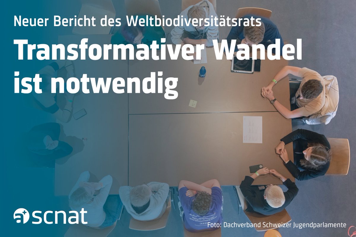 🌸🦎 Um die #Biodiversität weltweit zu erhalten, ist laut <a href="/IPBES/">ipbes</a> ein transformativer Wandel dringend erforderlich. Wie dies gelingen kann und wie alle beitragen können, zeigt der neue Bericht #TransformativeChange 👉 scnat.ch/de/id/5Vzys