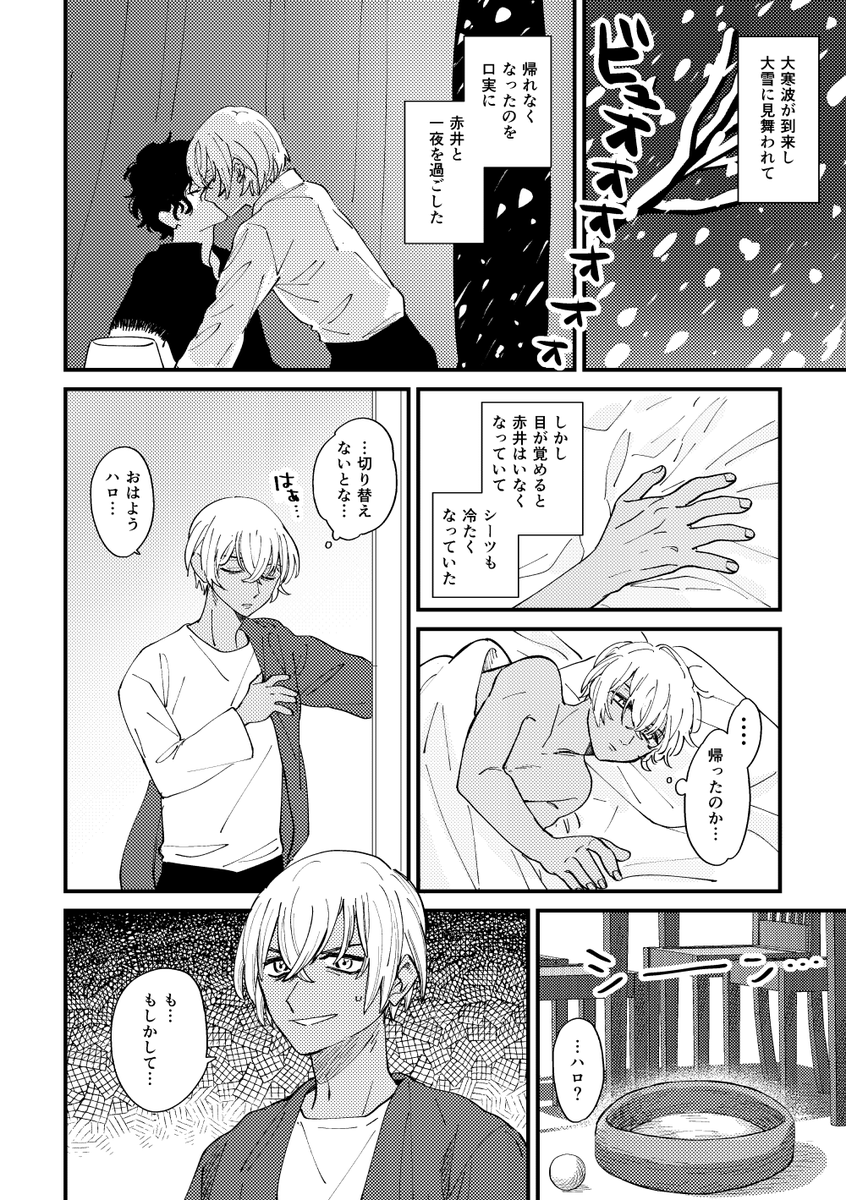 お題【大雪】
大遅刻&大時間オーバーすみません
次のお題が始まる前に…気合いで滑り込み…!
#安赤ワンドロワンライ
@amak1dr 