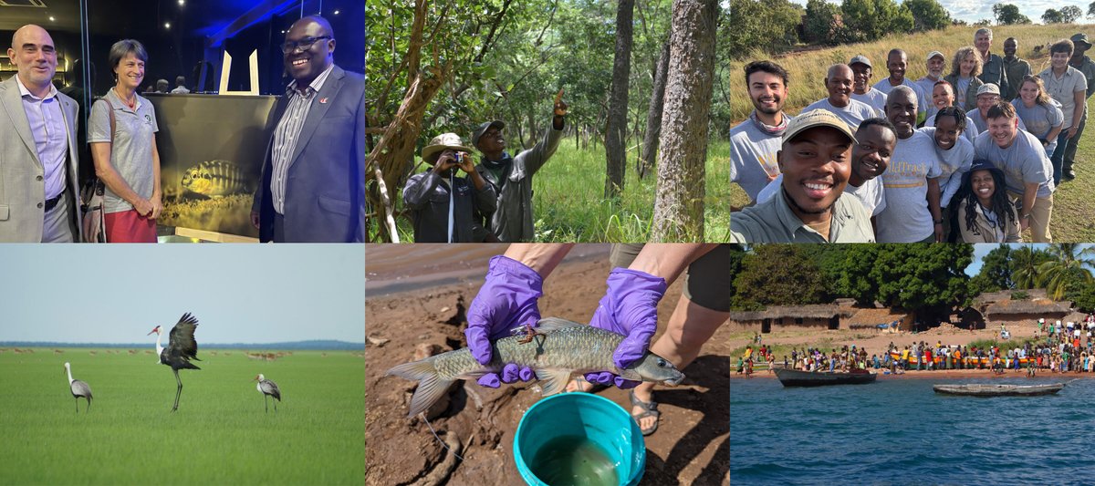 Reflections on JRS’ Exciting Biodiversity Achievements of 2024 🌴🌳🌲🐝🪲🐞🐟🐠🐡 jrsbiodiversity.org/reflections-on…  #Biodiversity
