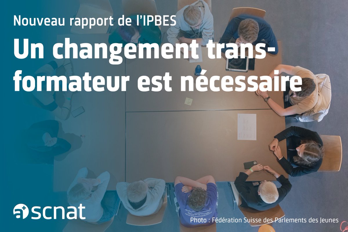 🌸🦎 Afin de préserver la #biodiversité à l’échelle mondiale, un #changement transformateur est nécessaire et urgent. Le nouveau rapport #TransformativeChange (@IPBESfr) montre comment chacun peut y contribuer 👉 scnat.ch/fr/id/5Vzys
