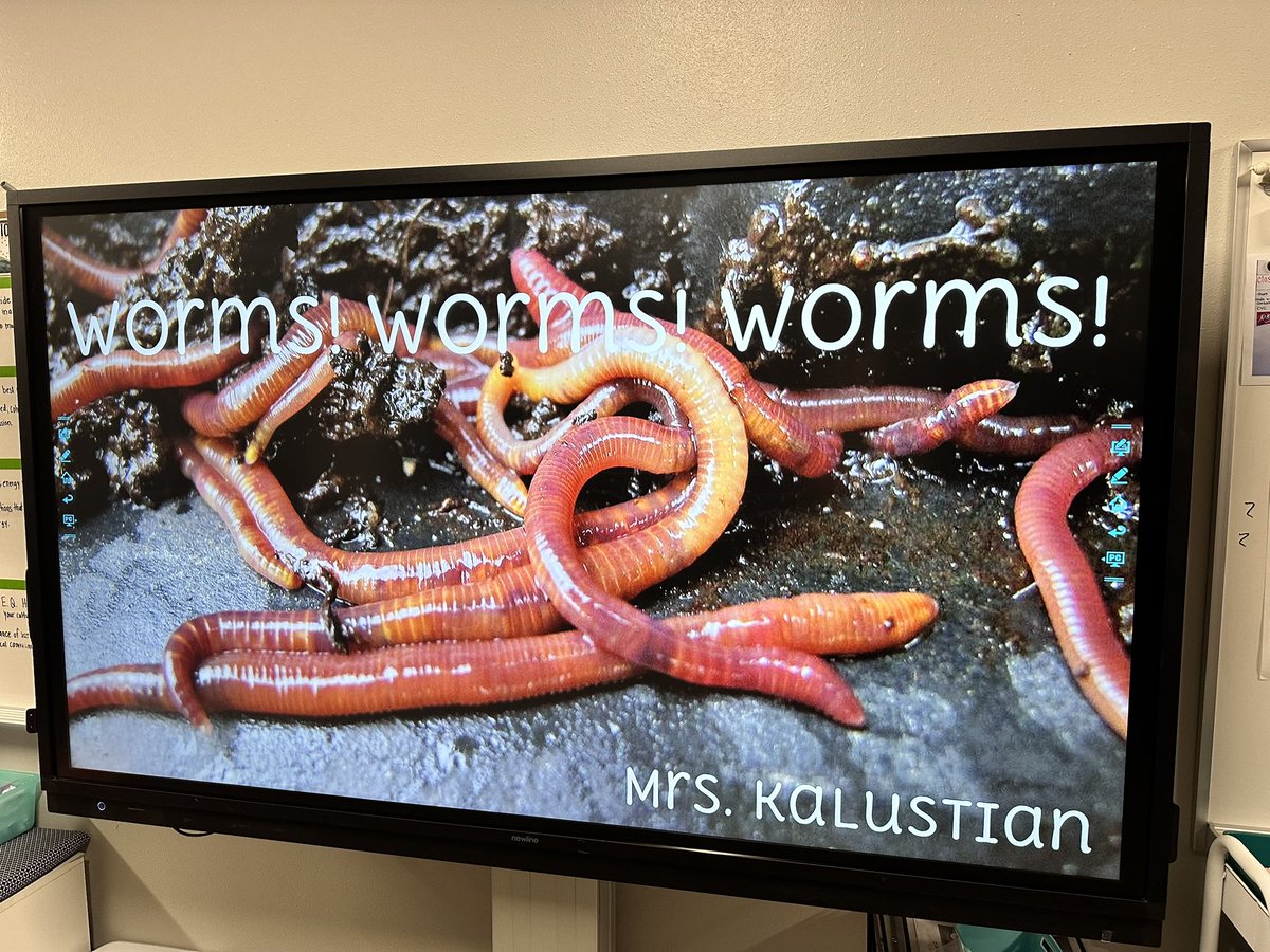 MrsKalustian's tweet photo. It’s Blaze Your Own Trail day at Bryant Elementary! 💜 I can’t wait for the students coming to my class to learn about Worms! Worms! Worms!! 🪱@PISDBryantElem @ProsperISD https://t.co/N27xfatK7C