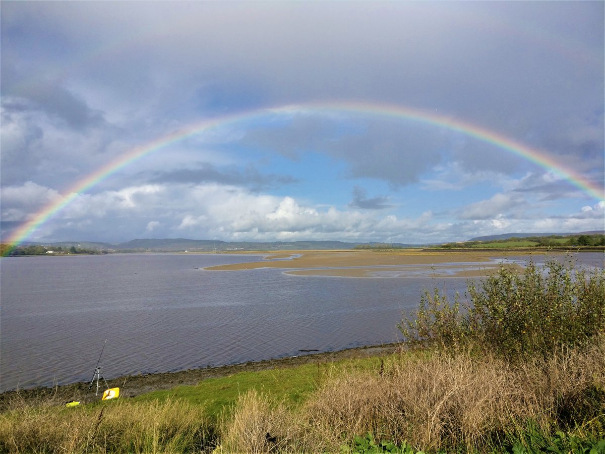 Paul Brain tweet media