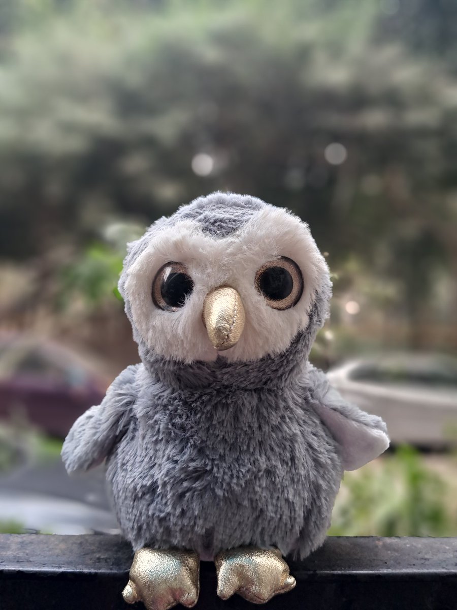 lightseekerusha's tweet photo. “Growing up is losing some illusions, in order to acquire others.”
- Virginia Woolf 💜
#Literature #FavWriter #FavToy https://t.co/omEOcc62mV