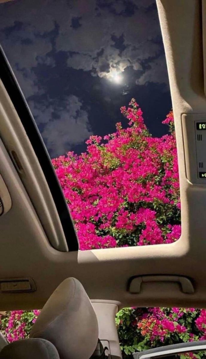 ثقيل ما هز قلبه إلا عيوني..
عالي ومترفع وبالحييييل ملفت🌷.