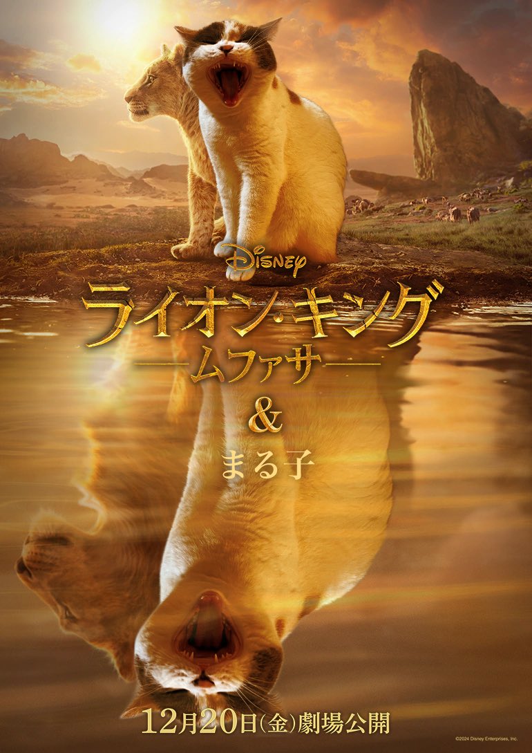 この度、わたしの相棒「まる子」が“ライオン・キング”になりました！！！
#ムファ写キャンペーン