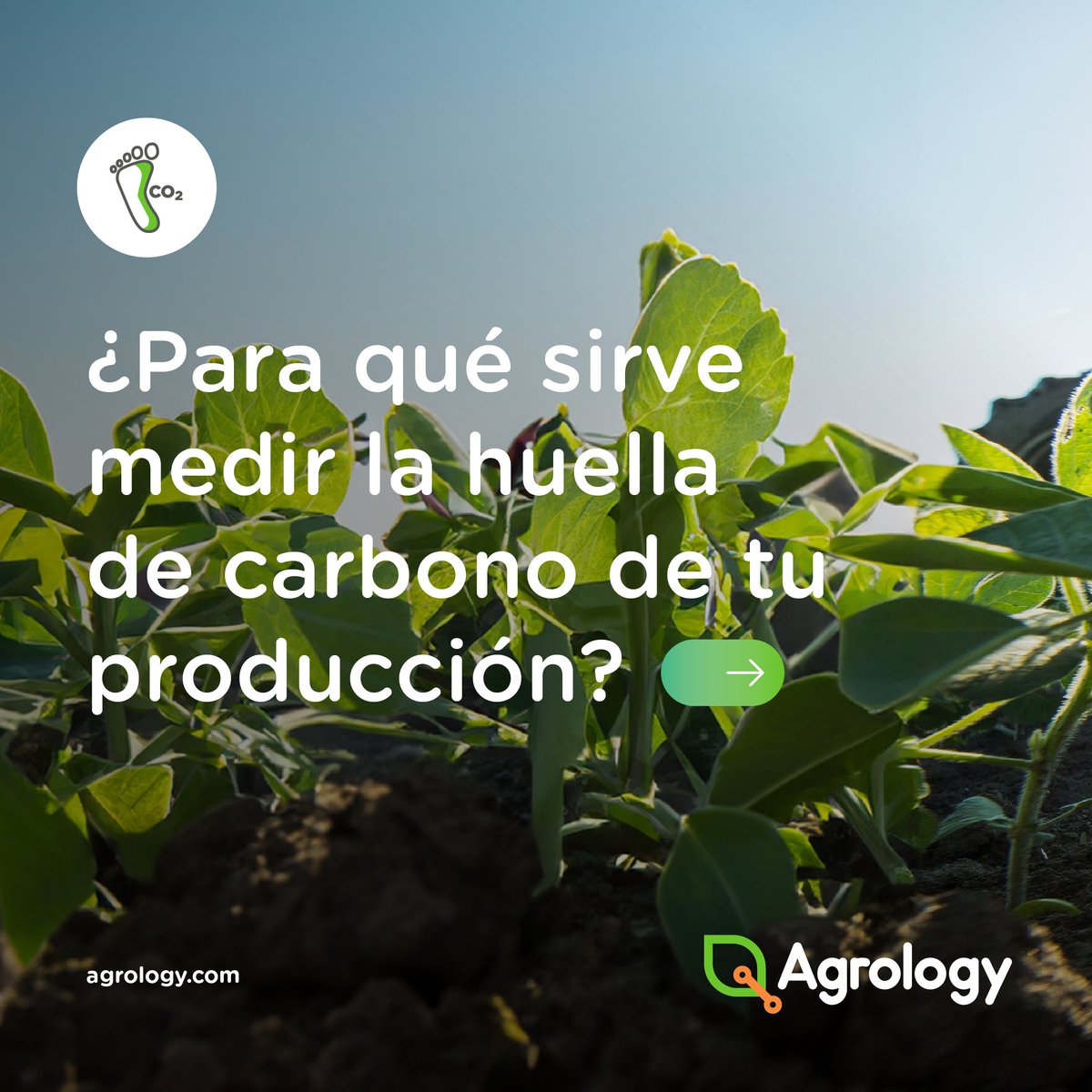 @agrologyagro tweet media