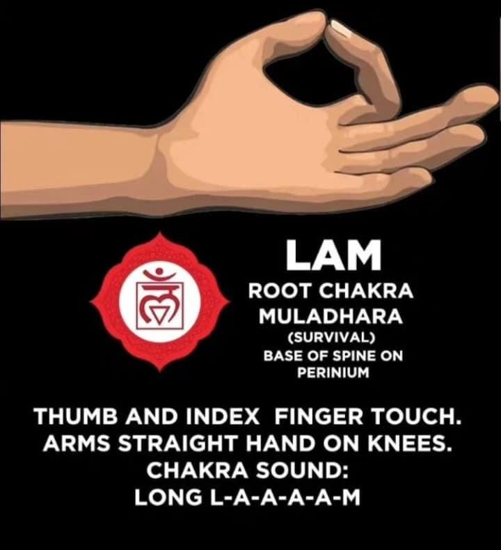 Nirvanahealings's tweet photo. #chakra #chakrastones #chakrabalance #chakrahealing #chakras #chakrabalancing #chakraalignment #chakracleansing #chakracrystals #heartchakra #thirdeyechakra #chakrabracelet #chakraactivation #throatchakra #solar #THOUGHT #StressFree #healthymind #stressrelief #MentalHealthSupport https://t.co/4QdvSQVfPD