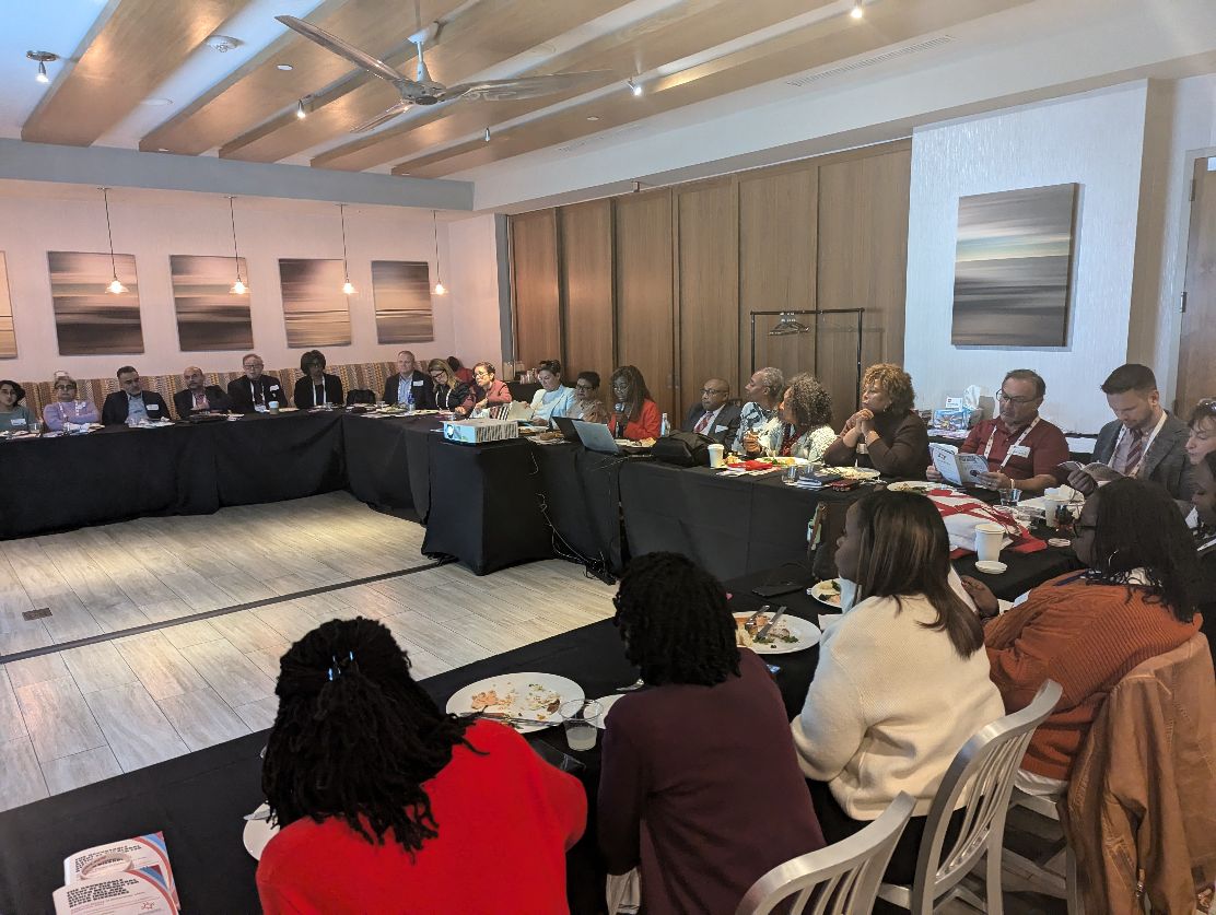 TSCS1998's tweet photo. The GANSID Roundtable meeting, championed by the Global Action Network for Sickle Cell Disease and Other Inherited Blood Disorders (GANSID) held on 07 Dec 2024. Dr. Suman Jain participated from India.
.
.
.
#ThalassemiaAwareness #EarlyDiagnosis #HbA2Test #FreeTesting #TSCS https://t.co/ZdiEzT4Ydr