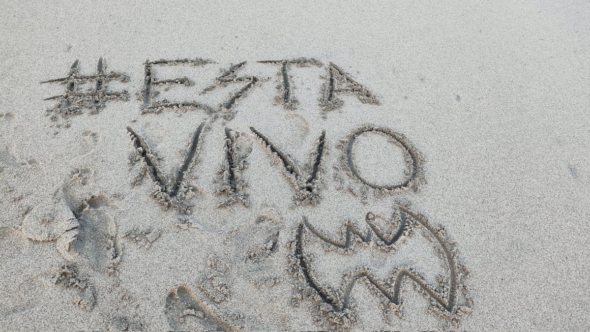 trixx008's tweet photo. Muchas gracias #EstaVivo #SinYolanda por ser ese espacio tan hermoso y necesario para muchos! Y así como el mar se llevó el logo, así el tiempo está haciendo lo mismo. 
Gracias por tanto! Gracias por tantas mañanas de alegrías y lágrimas! Gracias por hacernos sentir vivos! https://t.co/6YY8ESzyD1