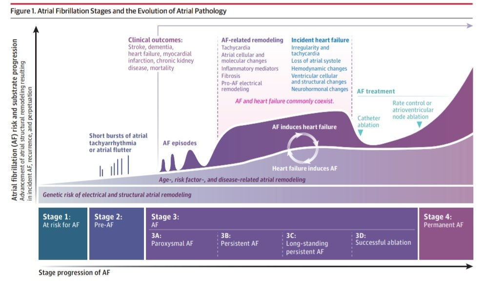 Leo_Santo5's tweet photo. 💎 Fibrilación Auricular 🫀

📊Epidemiología
🧬Fisiopatología
🥼Detección
🩺Presentación Clínica
📖Clasificación
💉Manejo

JAMA 2024

doi:10.1001/jama.2024.22451

Enlace a Artículo Completo 👇🏼✅🆓https://t.co/xumUMHb5Li https://t.co/d3YPtTAsUj