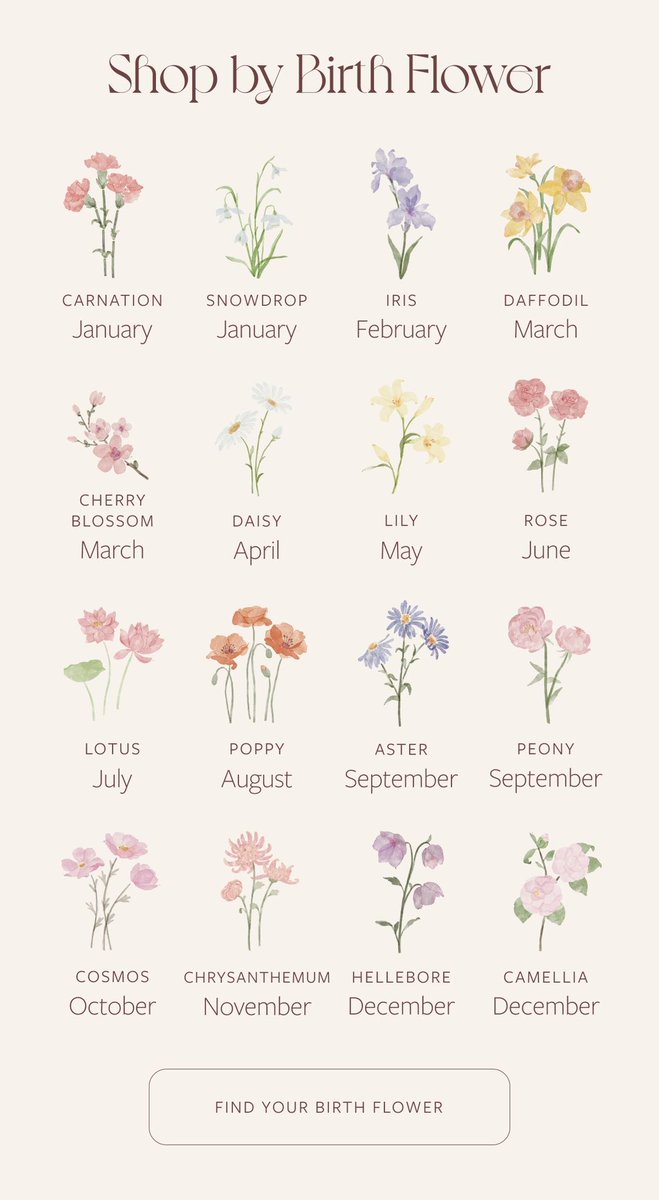 ˚⊱🪷⊰˚ (@aurabellee) on Twitter photo 