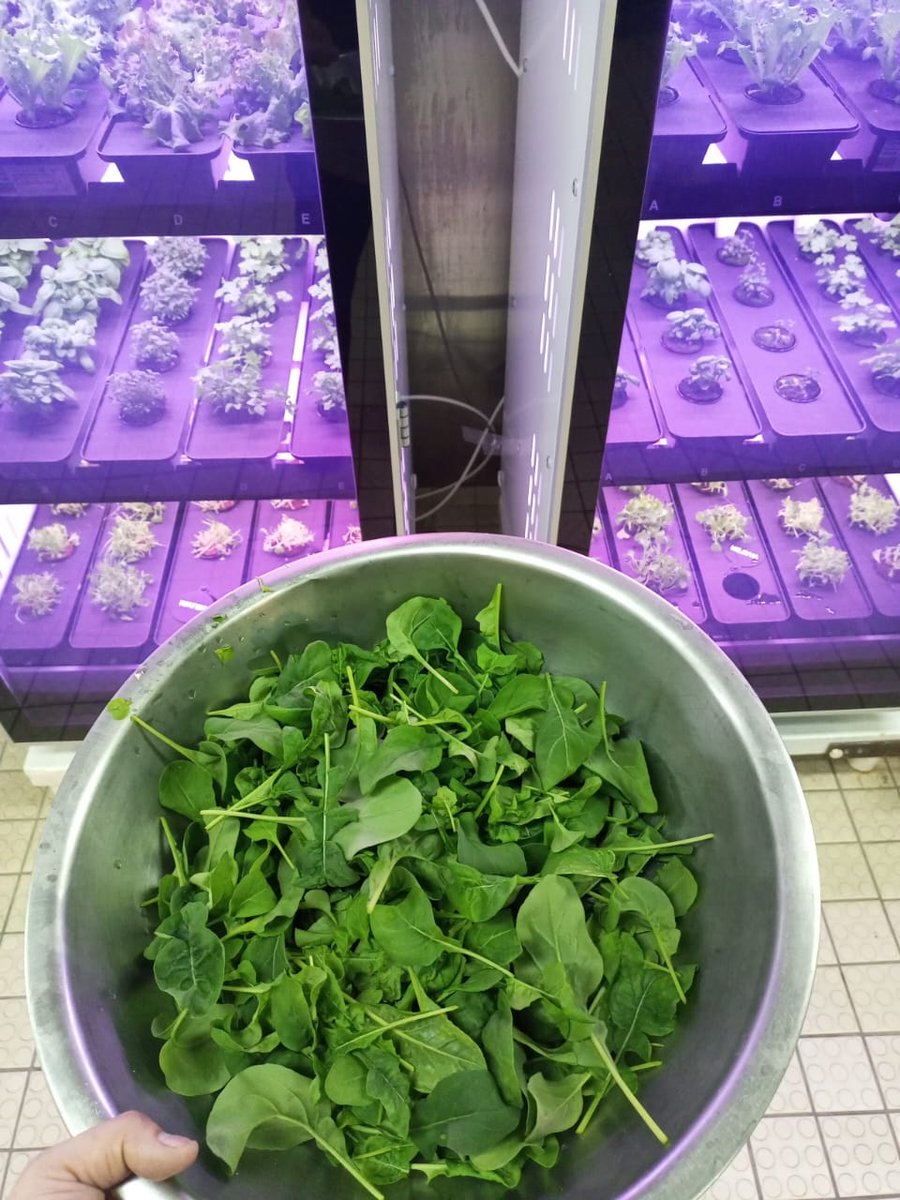 capitalexecorp's tweet photo. At Capital Executive Ship Management Corp., we’re redefining maritime sustainability with Agwa’s tech—cultivating fresh greens onboard, saving 29.72 tons of CO₂ &amp; 4,709 m³ of water annually. Compact, AI-powered, &amp; aligned with UN SDGs. Eco-friendly innovation at sea!  #Agwa https://t.co/y0xV75uSuI