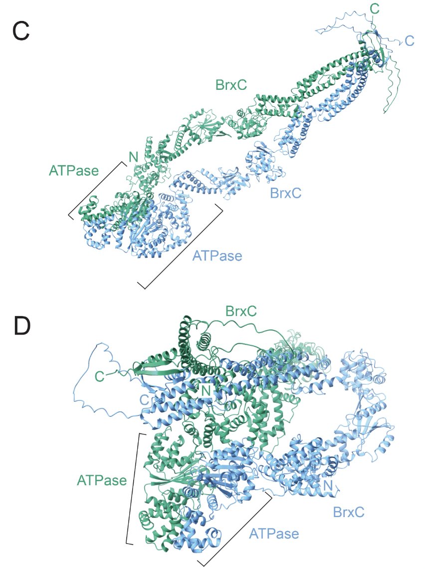 George O'Toole (he/him/his) tweet media