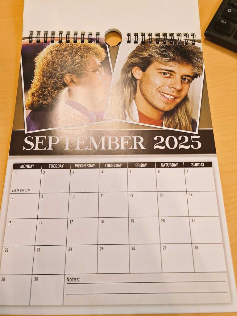 philius's tweet photo. @ChrisMoyles @Pipskin @domisatwit while studying my "worlds greatest mullets" calendar for 2025, guess who appears as Mr September https://t.co/WMeeGnJCwJ