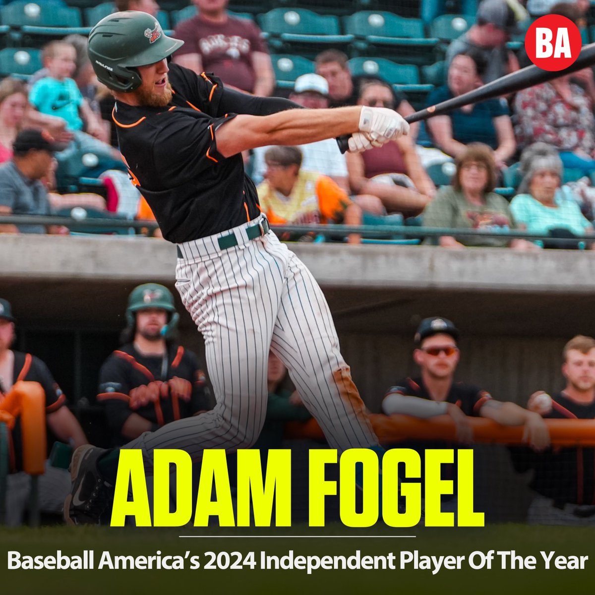Adam Fogel turned in one of the best seasons seen in an independent or MLB partner league in years.

His 2024 season made him Baseball America’s Independent/Partner Leagues Player of the Year 👏

baseballamerica.com/stories/adam-f…