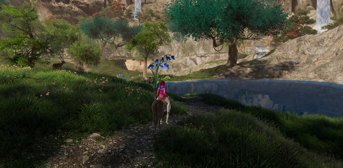 Equitania_Game's tweet photo. 🐴 New PC Horse Game Announcement

🌄 Gallop through stunning landscapes
🏇 Leap over epic obstacles
🏹 Master your aim with a bow and arrow
⏳ Unlock powers like slowing time for perfect shots
🤝 Build a special bond with your horse
🔍 Explore a world full of secrets & adventure
🎨 Paint your horse in 3D

🖊️ Sign up for upcoming beta https://t.co/xa8fcPvBYi

Horse lovers, this one's for you! 🐎✨