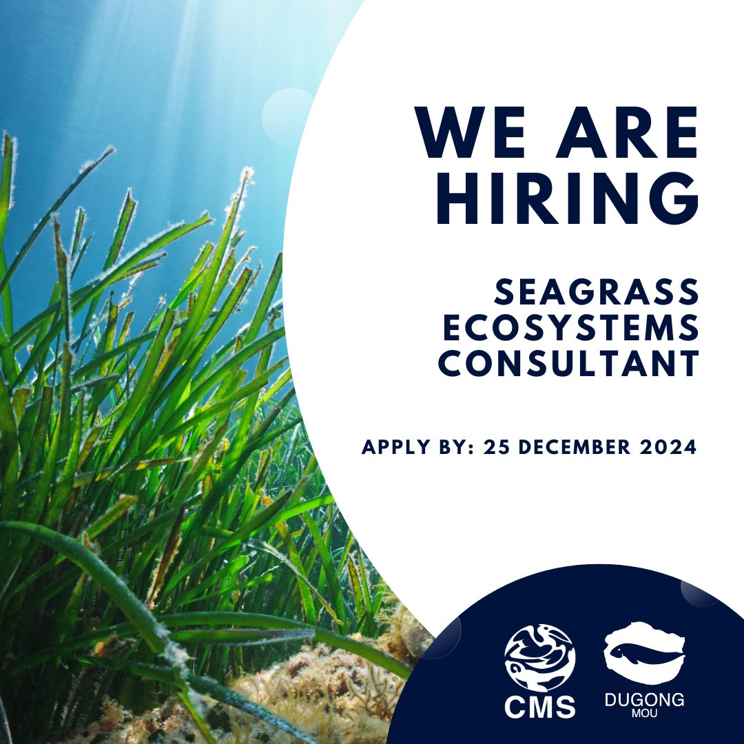 #JobOpportunity: CMS seeks a home-based consultant to produce a regional assessment of scientific data on seagrass from the Seagrass Ecosystem Service Project countries (Indonesia, Malaysia, Philippines, Thailand, Timor-Leste, and India).  

The consultant is also expected to