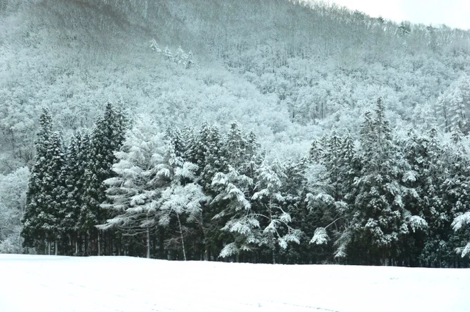雪は良い