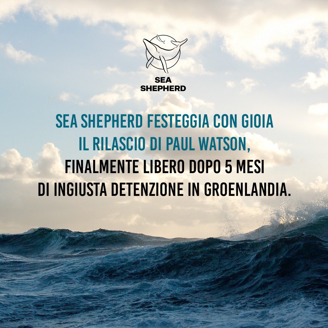 Sea Shepherd Italia tweet media