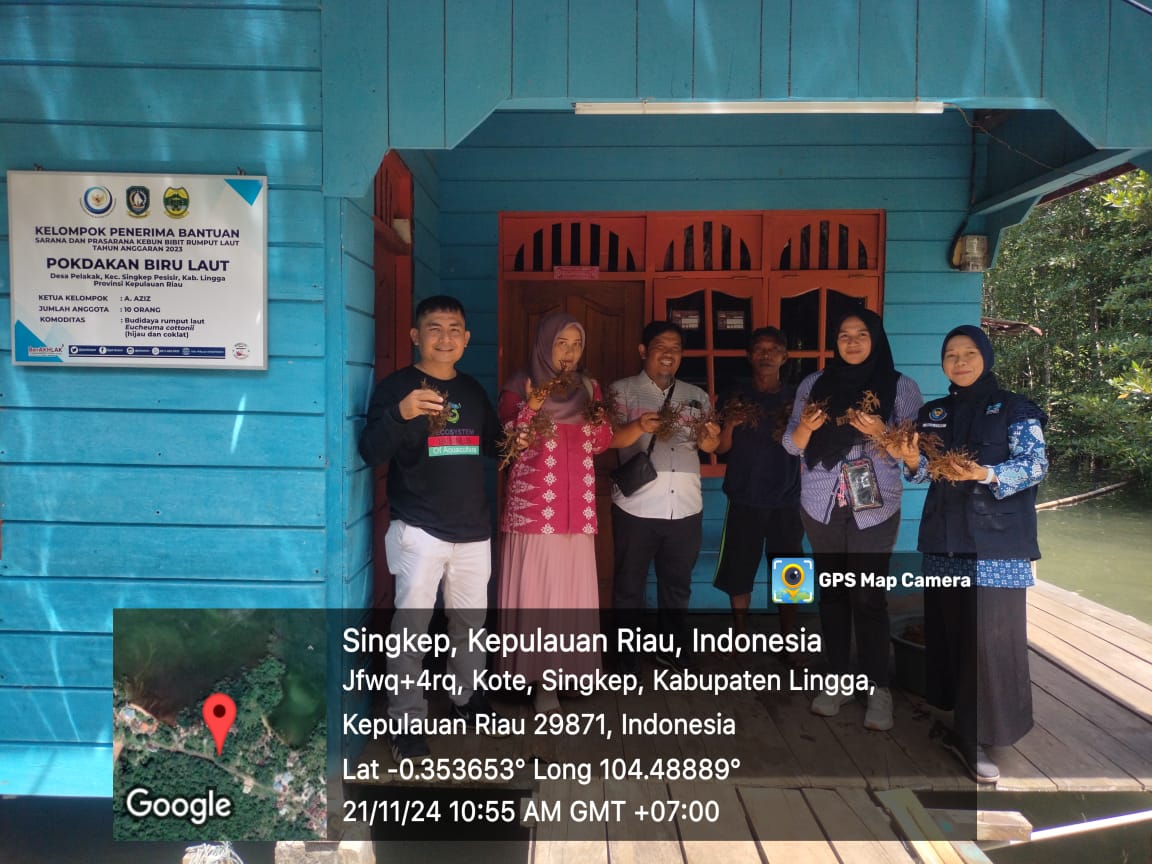 MegaTania17's tweet photo. Kamis (21/11) Mega Tania, Luhkan Kab Lingga, Monitoring dan Evaluasi Kebun Bibit Rumla pd Pokdakan Biru Laut Ds Pelakak bersama Tim DKP Prov Kepri
#GiatLuhkanSatminkalMedan #Lingga #Rumputlaut
@bppsdm_kp
@kkpgoid
@pusluhkp
@bppsdm_bp3medan
@bpblbatam
@BASRIBOSBAS https://t.co/SbJF2Ob1Wv