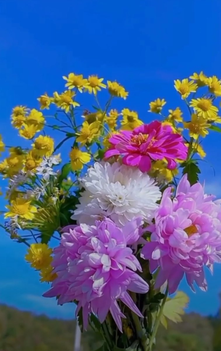  رـيـفـ࿐🌸 tweet media