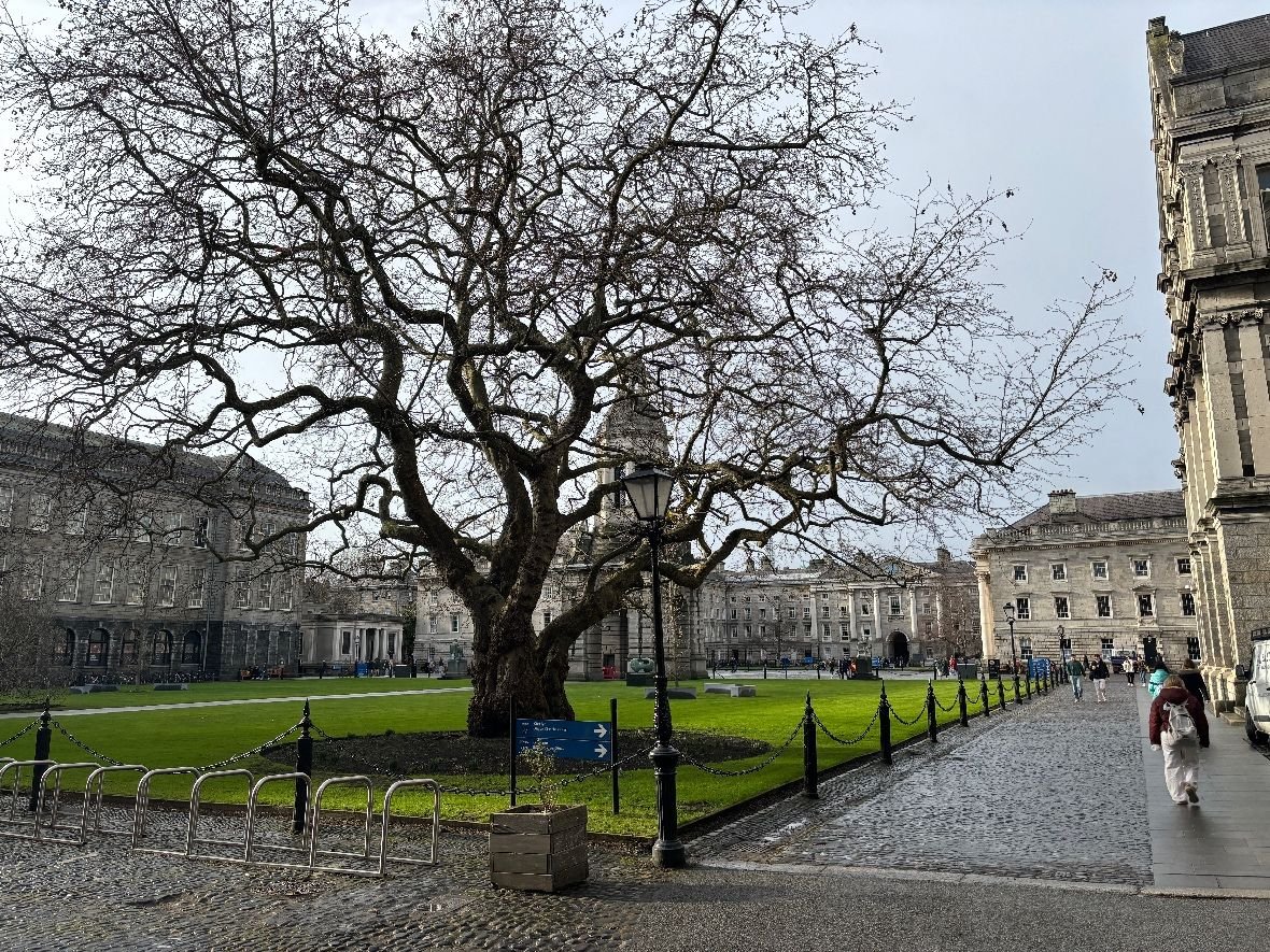 Excited to head back to <a href="/tcddublin/">Trinity College Dublin</a> next year with <a href="/Entirl/">Enterprise Ireland</a> ! 🇮🇪

We will meet with Irish businesses looking to expand into the international markets.  It is truly impressive how much innovation exists in this country!
