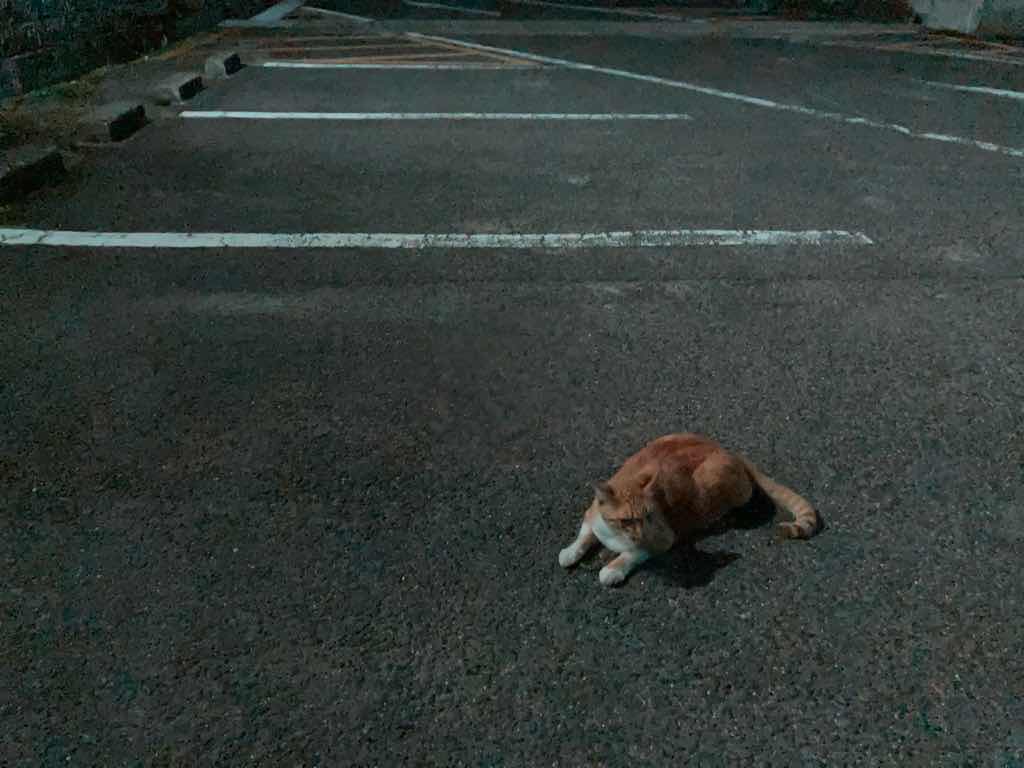 u3n901's tweet photo. アーケードゲーム画面を撮って、その場でアップできるよう、iPhoneに乗り換え。#ProCam とか #CameraM で常に携帯できるカメラになった… とか https://t.co/w2FTzjg7mm