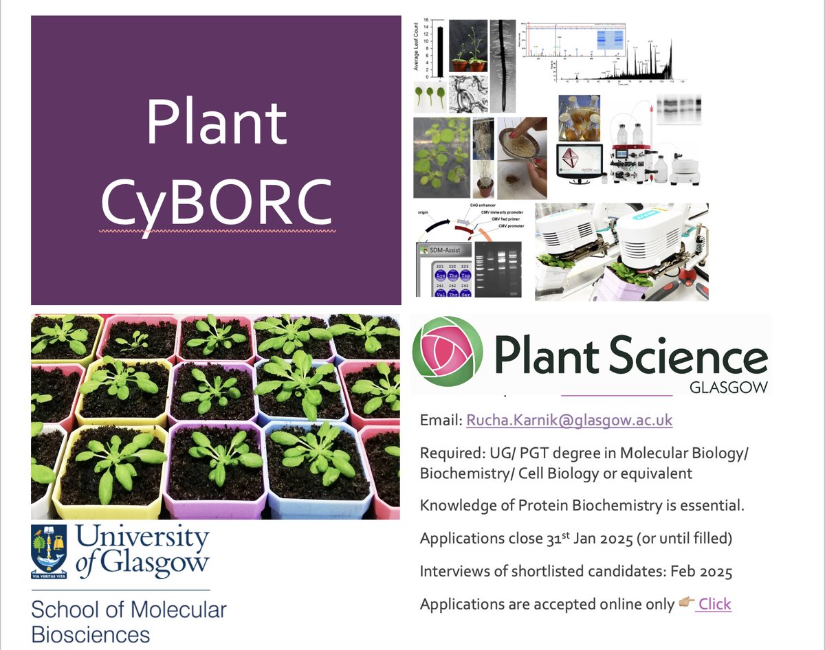 💫Have you wondered if #plants remember stress??🌱🧪💫  I have a <a href="/LeverhulmeTrust/">The Leverhulme Trust</a> funded #PhD studentship* in my lab <a href="/UofGMVLS/">UofG MVLS</a> to study novel protein complexes that dictate plant memory to environment stress. #plantjobs #biochemjobs #proteomics, #protein-protein interactions.