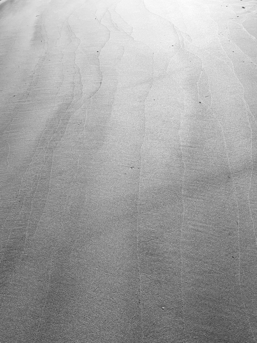 itosasakihrfm's tweet photo. 額に入れよう

#砂 #砂浜 #海 #ビーチ #モノクロ #写真 #sand #beach #sea #ocean #monochrome #photography #itosasaki 

https://t.co/4Agxzo1IhW https://t.co/g4BZphmNZB