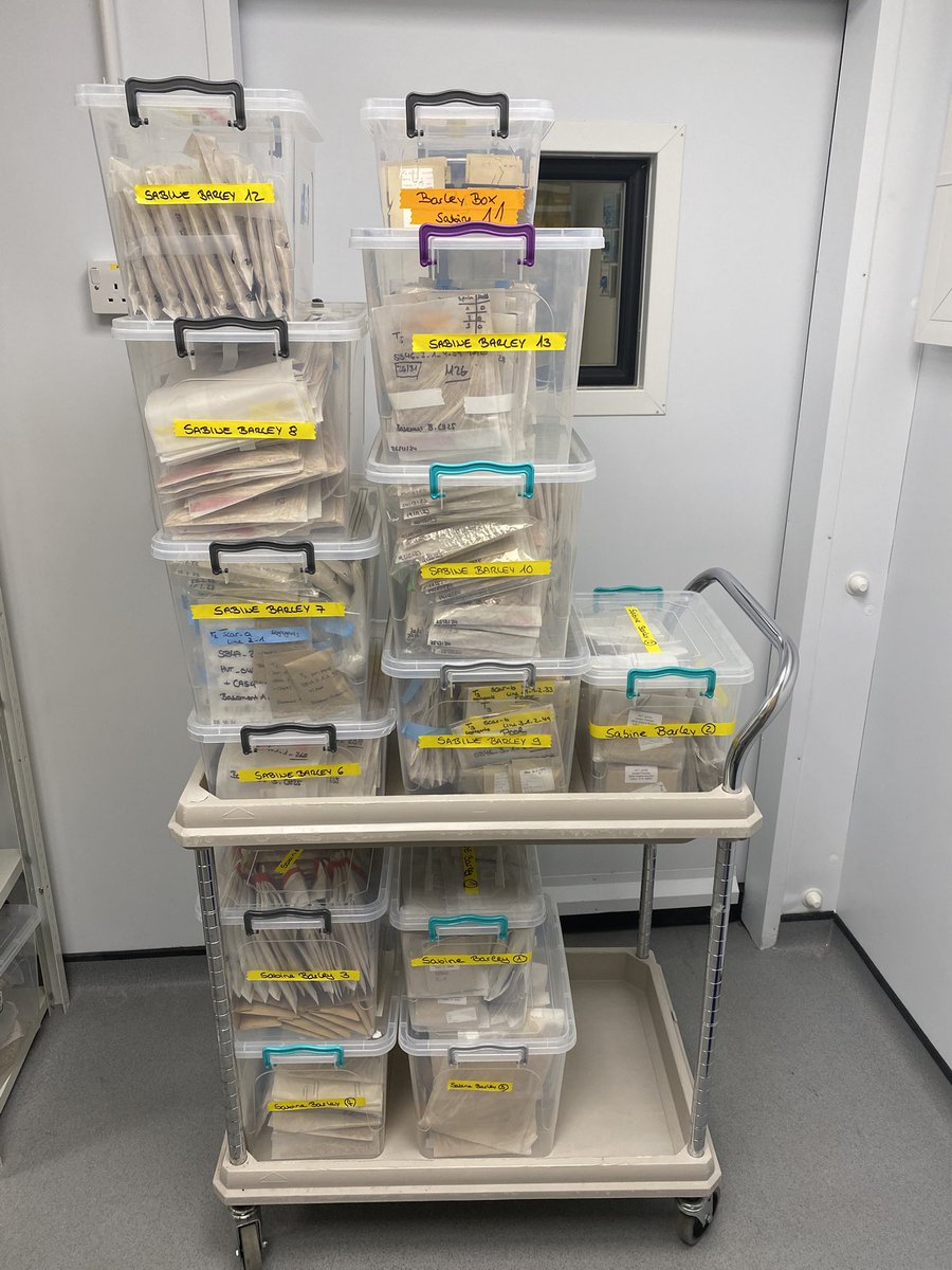 Sabine Brumm tweet media