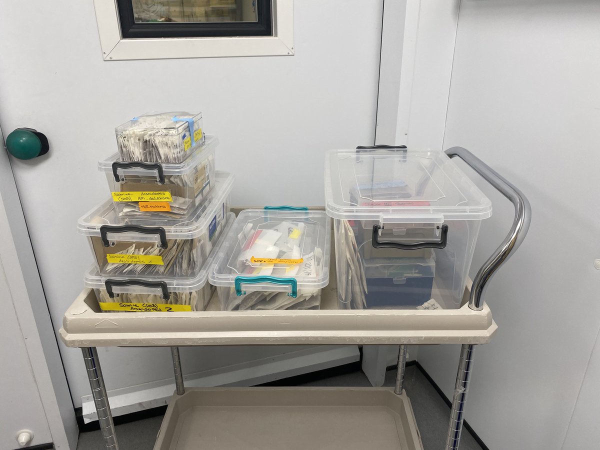 Sabine Brumm tweet media