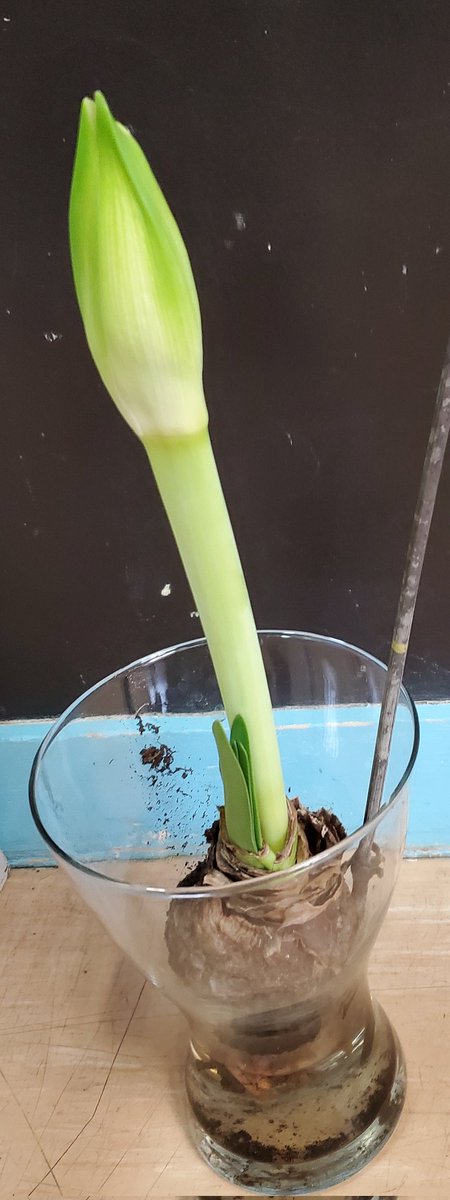 MaternelleAYRON tweet media