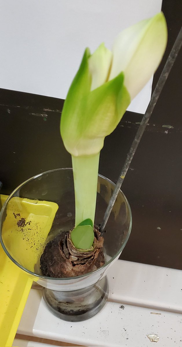 MaternelleAYRON tweet media