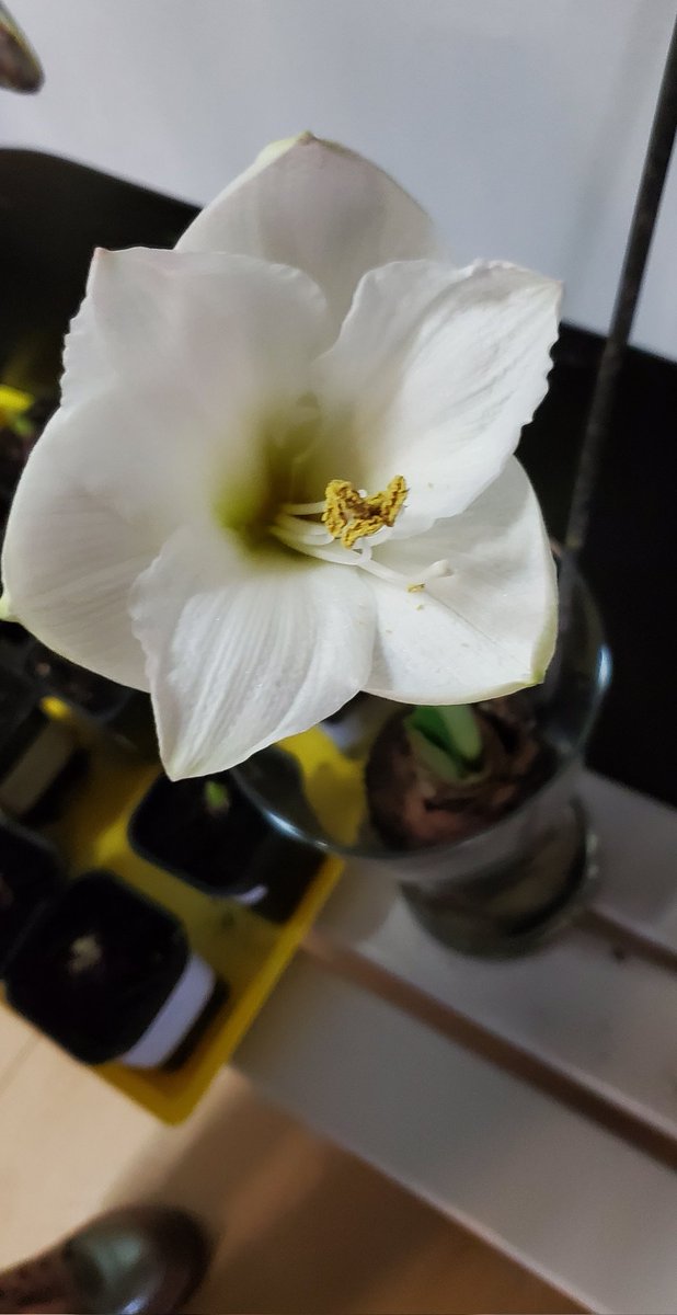 MaternelleAYRON tweet media