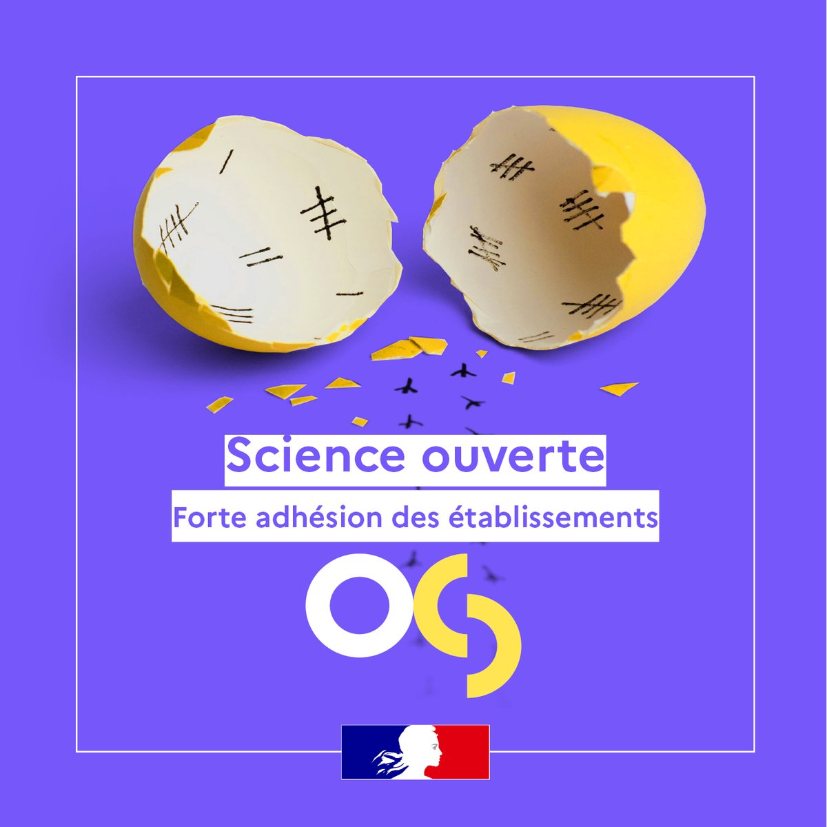 🌓 Il y a un « avant » et un « après » la politique nationale de science ouverte.

📈 Forte adhésion des établissements d’enseignement supérieur et de recherche. C'est la conclusion que permet d'établir un nouveau rapport publié ce jour.

👉 swll.to/qGmED