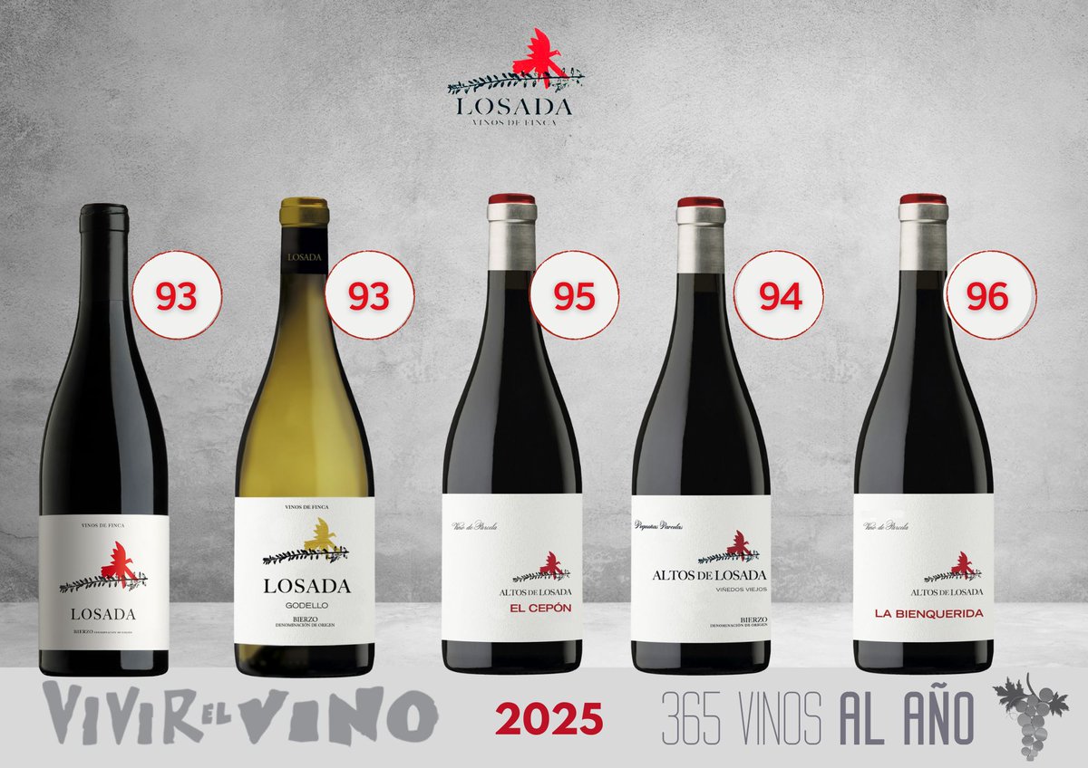 LosadaVinos's tweet photo. 🍷La Bienquerida , vino de paraje Las Chas, 2022 #96
Complejo, muy elegante, encontramos en su nariz una gran abundancia de fruta pequeña silvestre en confitura, que se acompaña de hierbas de monte, https://t.co/G7m6NquNrV #losada #bierzo #bienquerida @vivirelvino_ https://t.co/qbKkro1deo