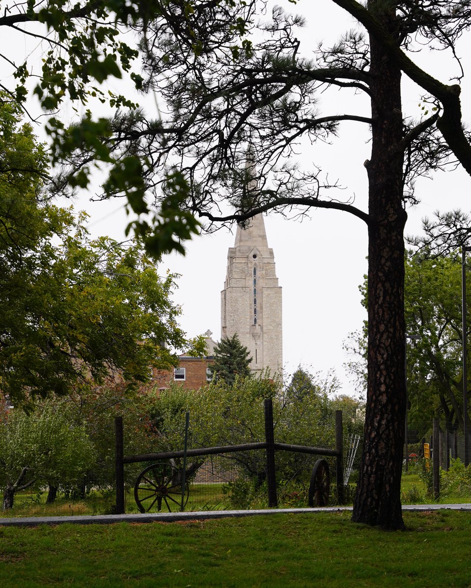 Mount Marty University is thrilled to announce the students who have earned a place on the Dean's List for the fall semester. Congratulations, Lancers! 💙💛

Check out the list: mountmarty.edu/fall-2024-dean…