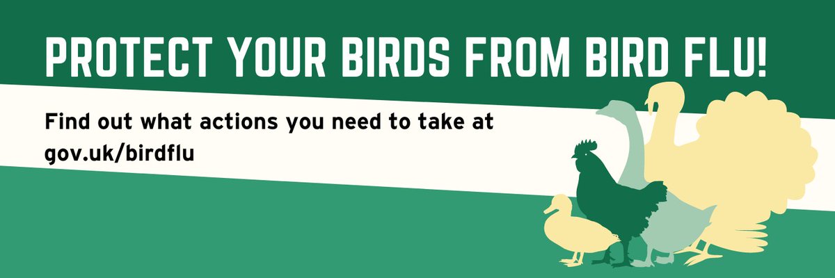 lincsts's tweet photo. 🦃This #weekend take some time to check out if you can improve your biosecurity – the risk of your birds catching #birdflu is high if your biosecurity is poor!

For more information visit: https://t.co/TyrpZoWXSx https://t.co/TNWzCr5pqG