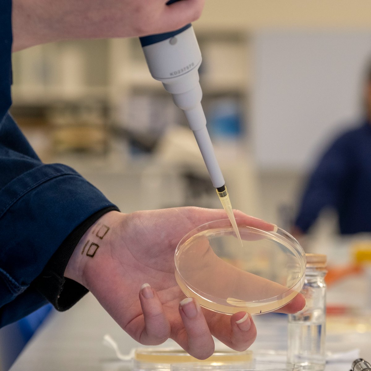 Glasgow_Clyde's tweet image. Thinking of a starting a new career in science for 2025? Take your first steps with our Get into HN Science course starting in January. It could be exactly what you're looking for! Find out more and apply at: bit.ly/3Z8QmQB

#youcan #GlasgowClydeCollege #studyscience