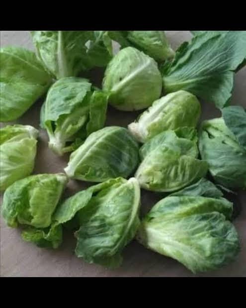 Setelah kubis dipanen, terbitlah siwil 😍🥰🤤