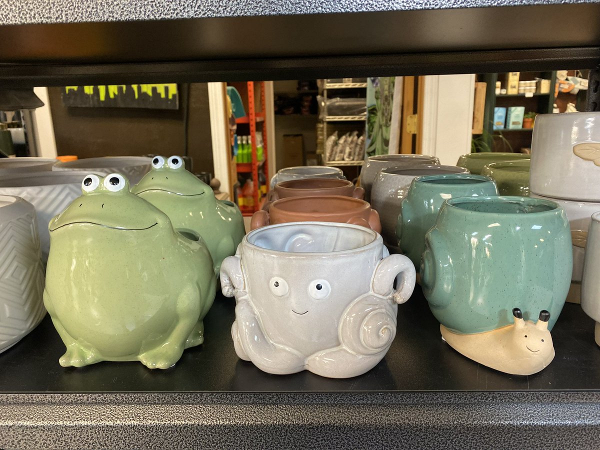grows_llc's tweet photo. Great gifts and gift cards from Anything Grows , Richland Wa.  Dog friendly store open 7 days a week. https://t.co/0pJKrBq6Jq