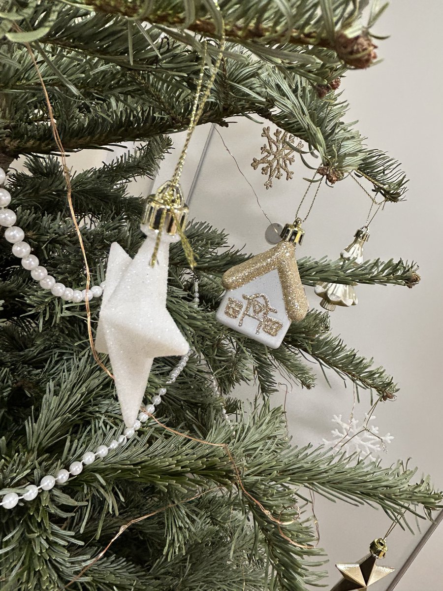 Massive thank you to local company Decormar Home and Garden for donating a real Christmas tree to our P3 Young People's Service in Wolverhampton, it will bring so much joy over Christmas! 🎄 

Find out how you can support us too, by visiting: p3charity.org/support-us/sup… 

♥️