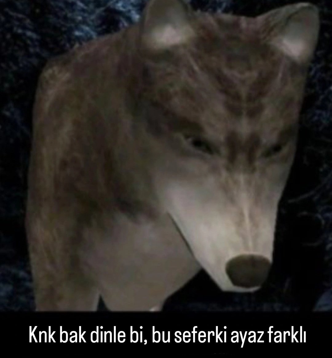 117 yaşımda dönemin en yakın arkadaşına 3.kahvemi içerken bahsettiğim felsefi mevzulara artık daha emin adımlarla ilerleyebilirim.